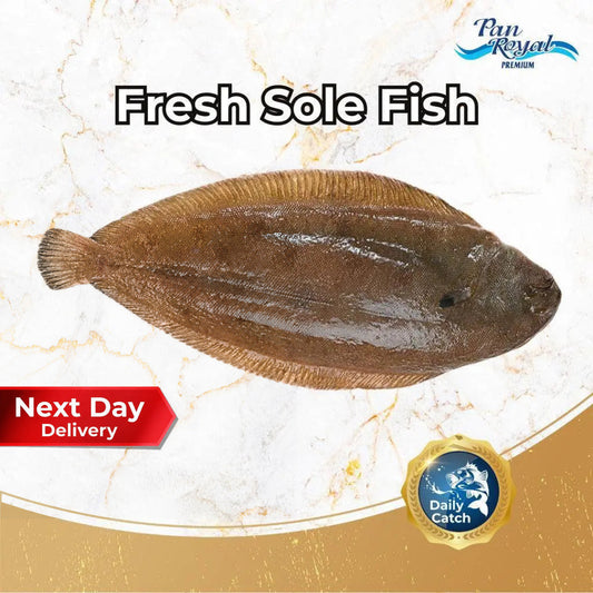 Fresh Sole Fish (800g +/-) - Pan Ocean Singapore