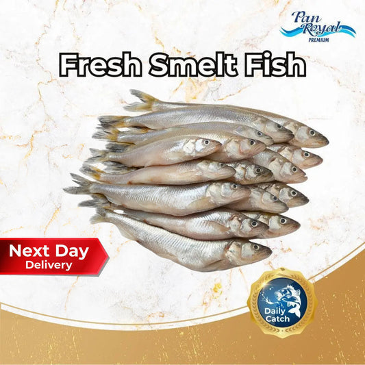 Fresh Smelt Fish (450g +/-) – Pan Ocean Singapore