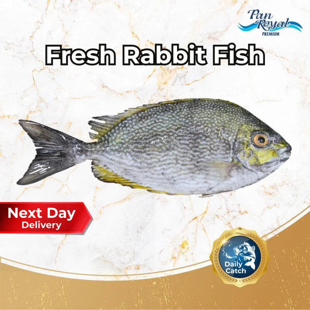 [PAN ROYAL] Fresh Rabbit Fish (Indonesia KaSu) (450g +/-)-Pan Ocean Singapore - Sea Through Us