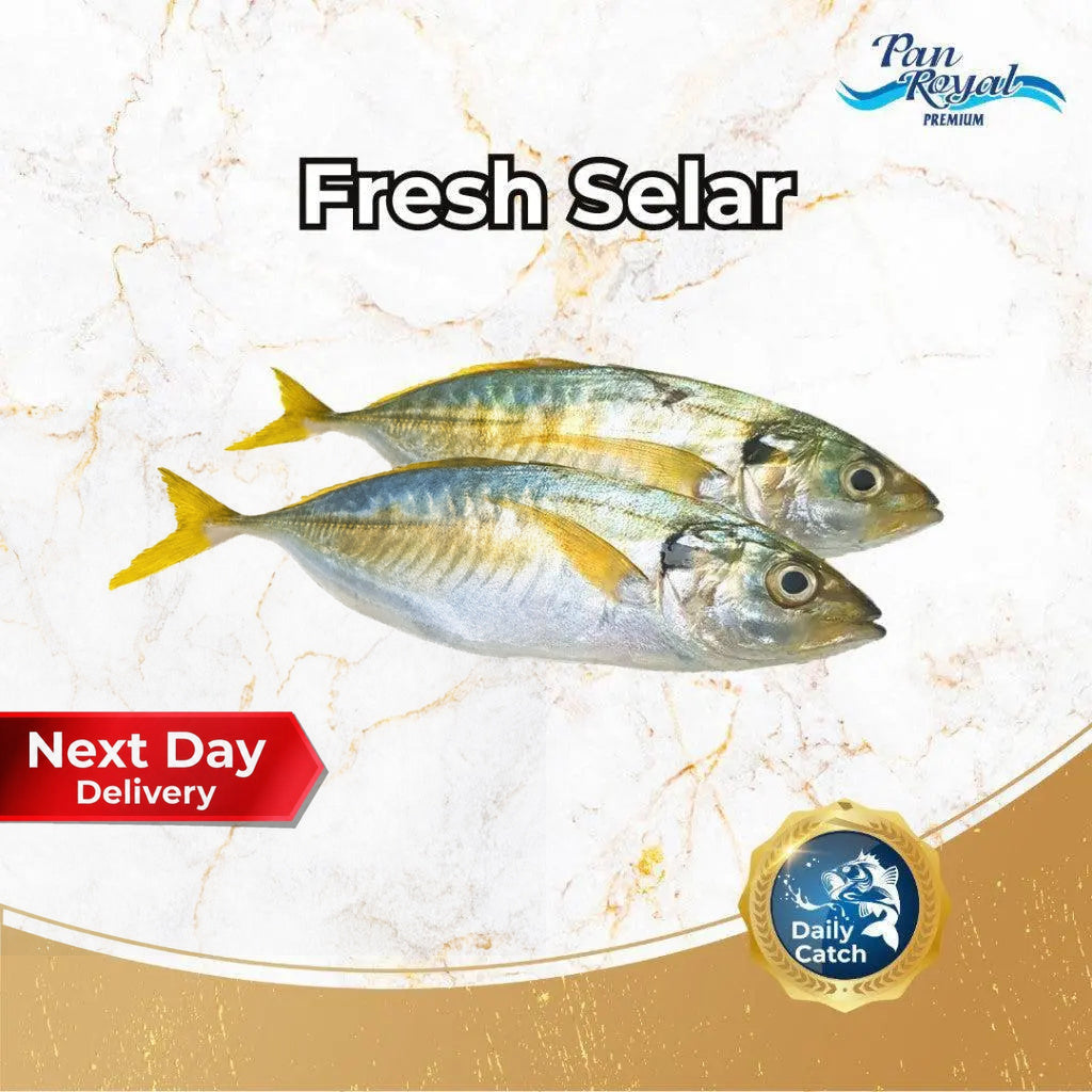 Fresh Selar (380 - 420g +/-) 2 pcs - Pan Ocean Singapore