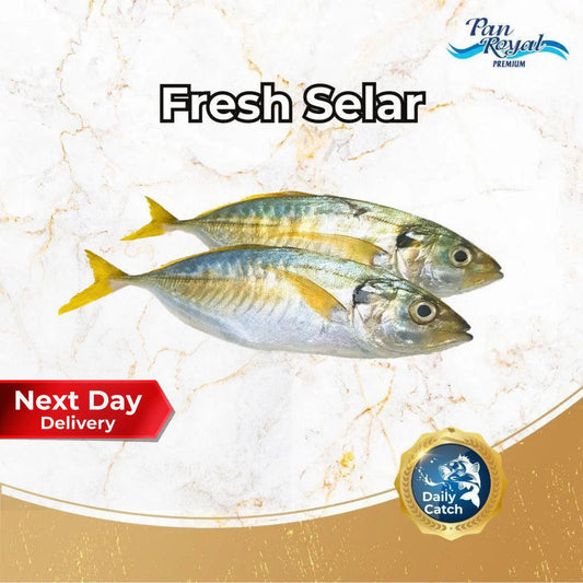 Fresh Selar (380 - 420g +/-) 2 pcs - Pan Ocean Singapore