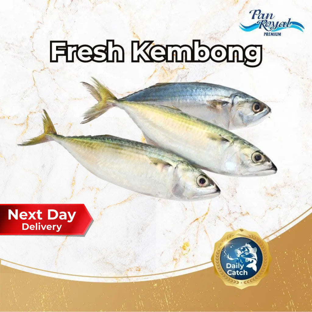 Fresh Kembong (450 - 550g +/-) – Pan Ocean Singapore