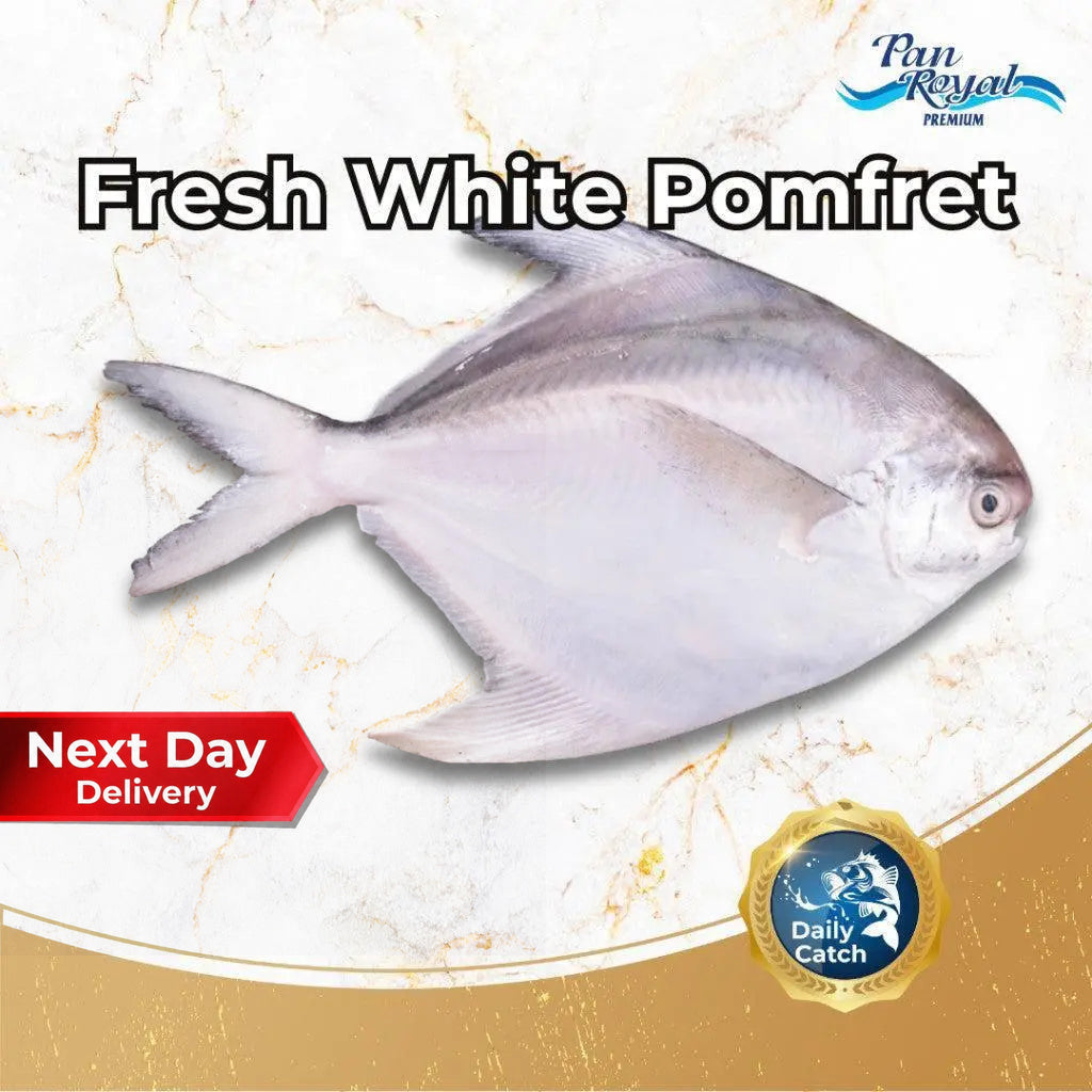 Fresh White Pomfret (300 - 400g +/-) – Pan Ocean Singapore