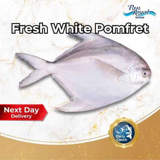 Fresh White Pomfret (300 - 400g +/-) – Pan Ocean Singapore