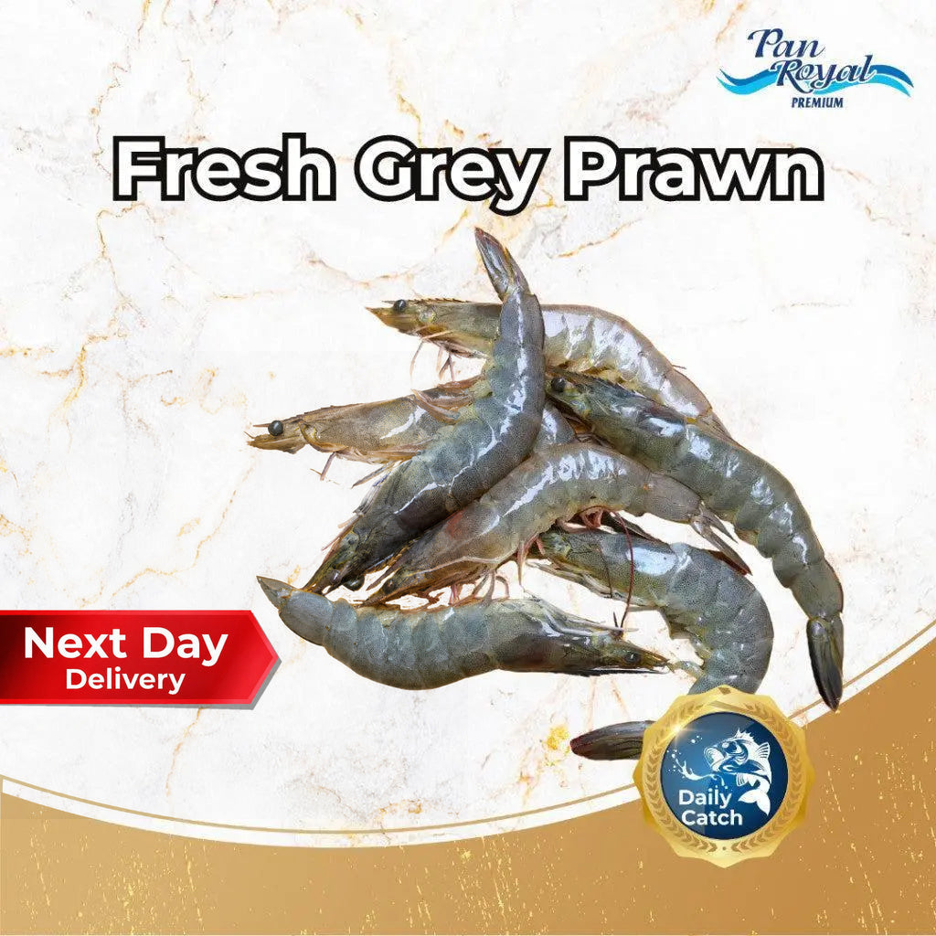 Fresh Grey Prawn (500g +/-) – Pan Ocean Singapore