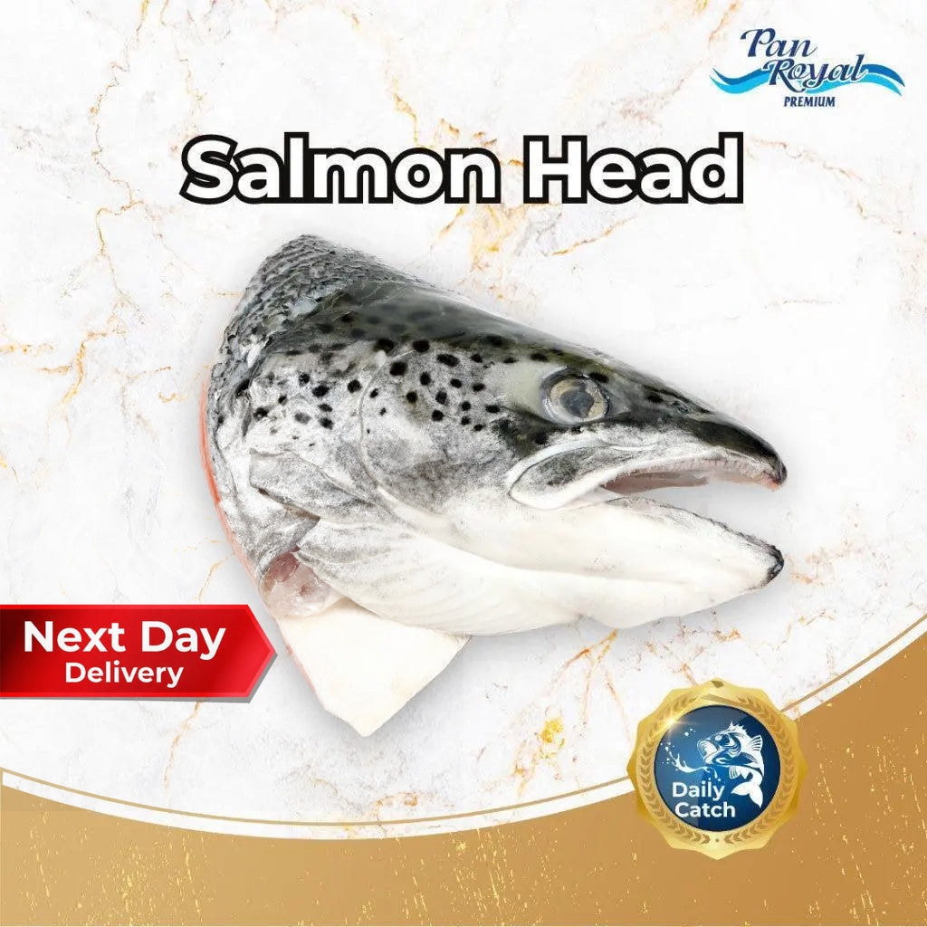 Fresh Frozen Salmon Head (500g +/-) 1 Whole Head – Pan Ocean Singapore