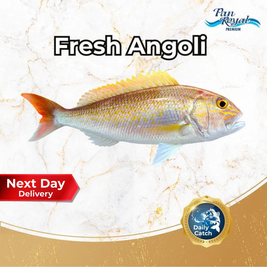 Fresh Sea Caught Angoli (700-800g) - Pan Ocean Singapore