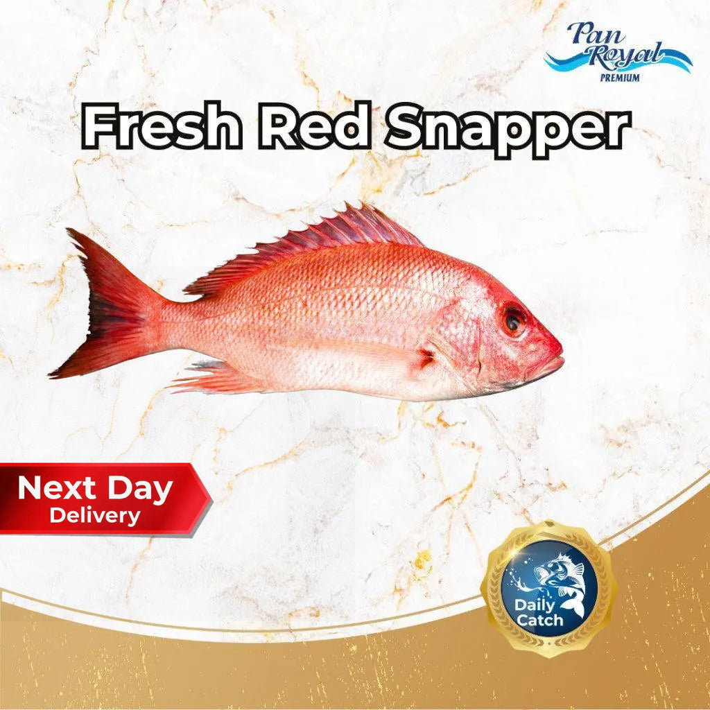 Fresh Red Snapper (600 - 700g +/-) – Pan Ocean Singapore