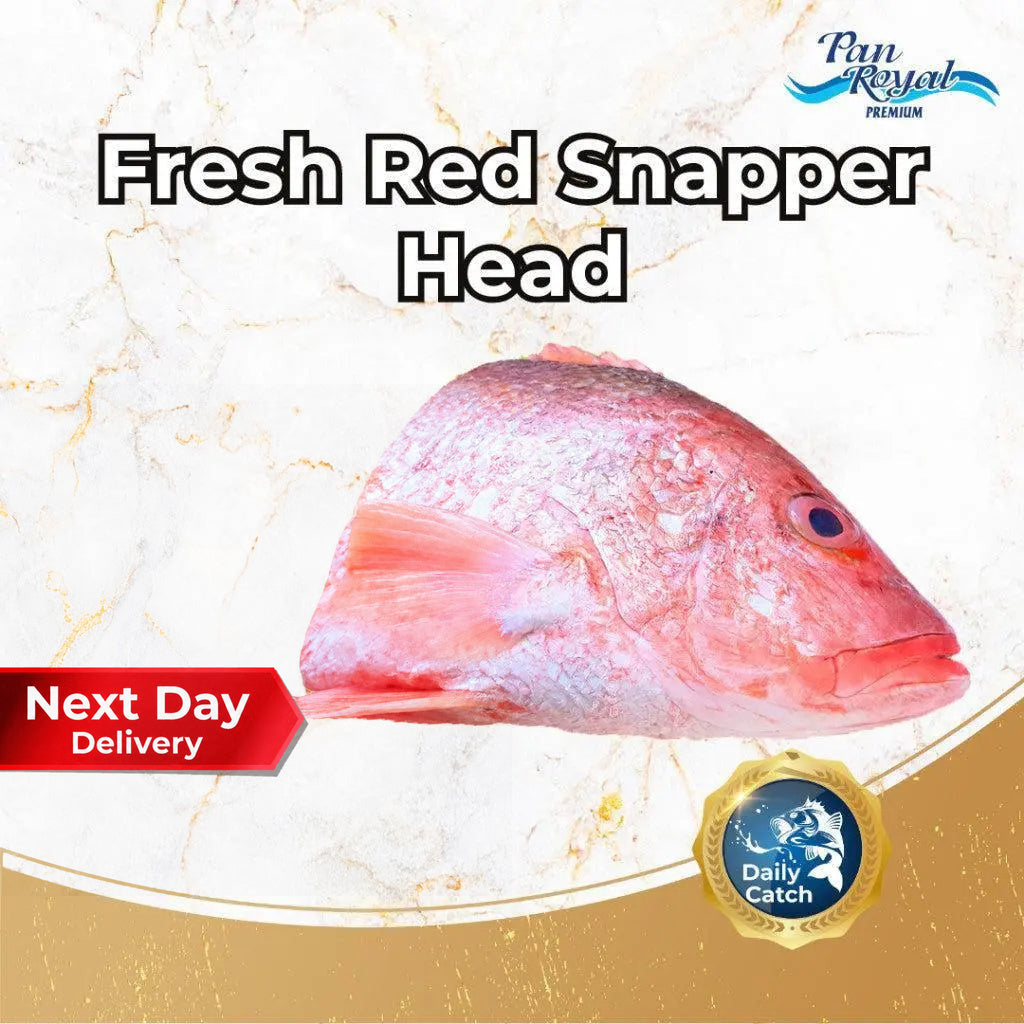 Fresh Red Snapper Half Head (500g +/-) – Pan Ocean Singapore