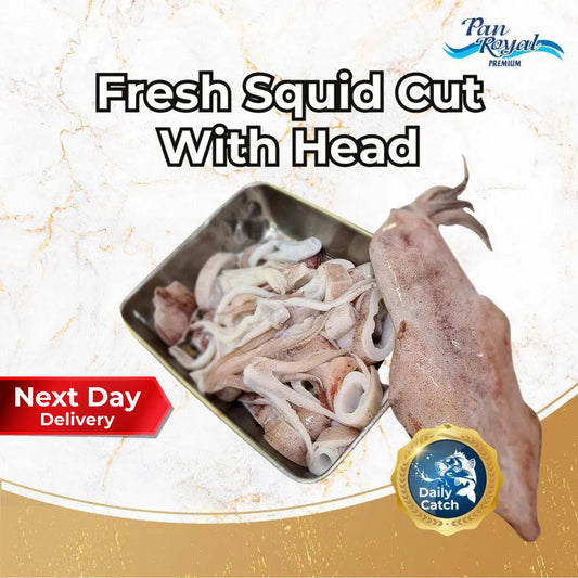 Fresh Squid Cut with Head (350g +/-) - Pan Ocean Singapore