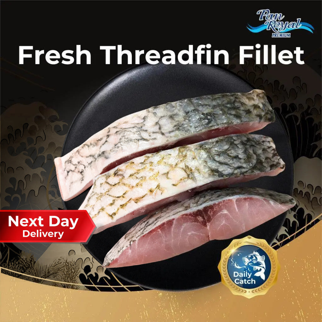 Fresh Frozen Threadfin Fillet (300g +/-) – Pan Ocean Singapore