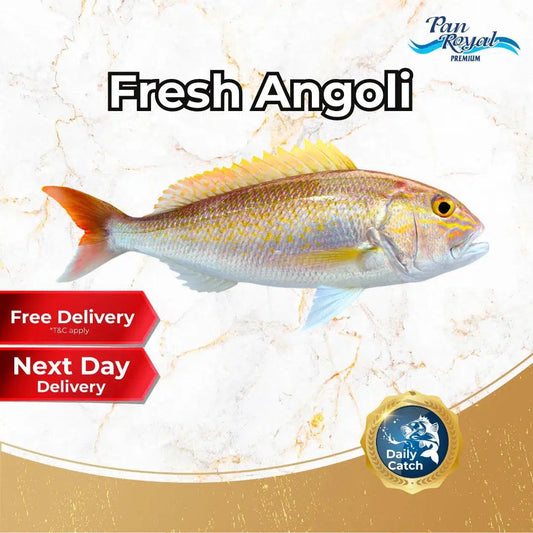 Fresh Sea Caught Angoli Whole (1 - 1.5kg +/-)-Pan Ocean Singapore - Sea Through Us