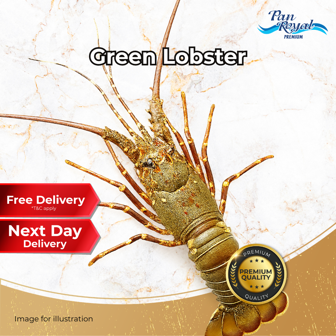 Frozen Green Lobster 300 to 400g - Pan Royal