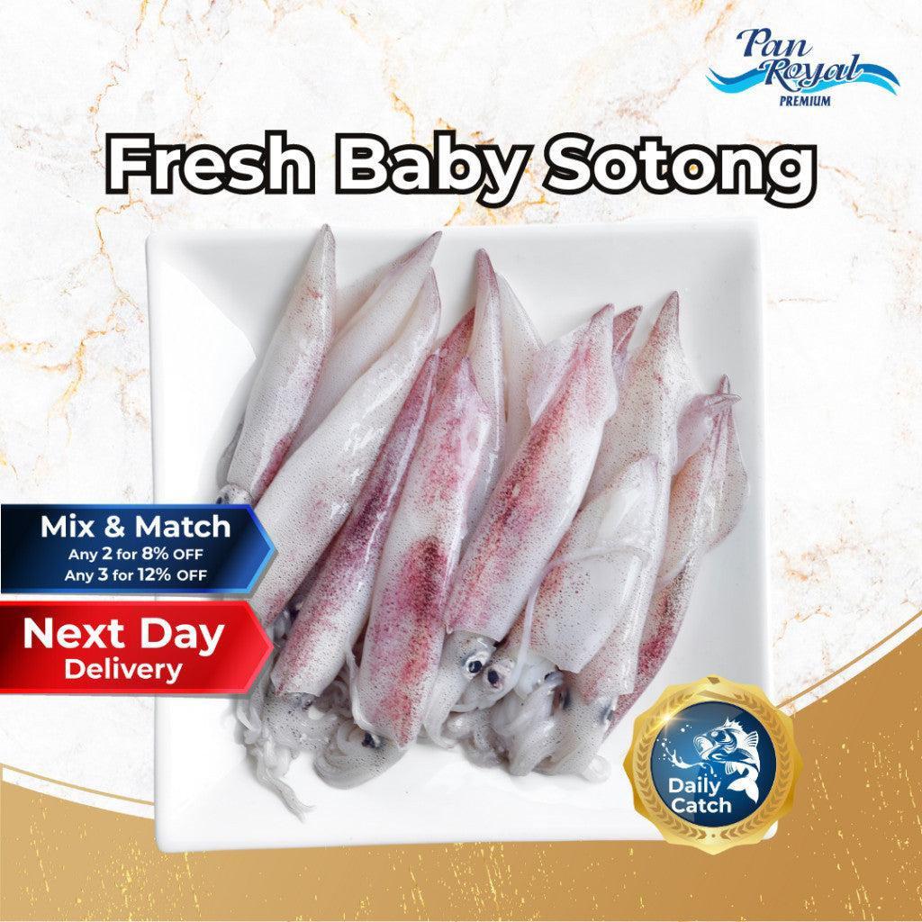 [PAN ROYAL] Fresh Baby Sotong (300g +/-)-Pan Ocean Singapore - Sea Through Us