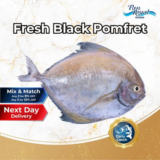 Fresh Black Pomfret (400 - 500g +/-) – Pan Ocean Singapore