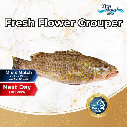 Fresh Flower Grouper (400 - 500g +/-) – Pan Ocean Singapore