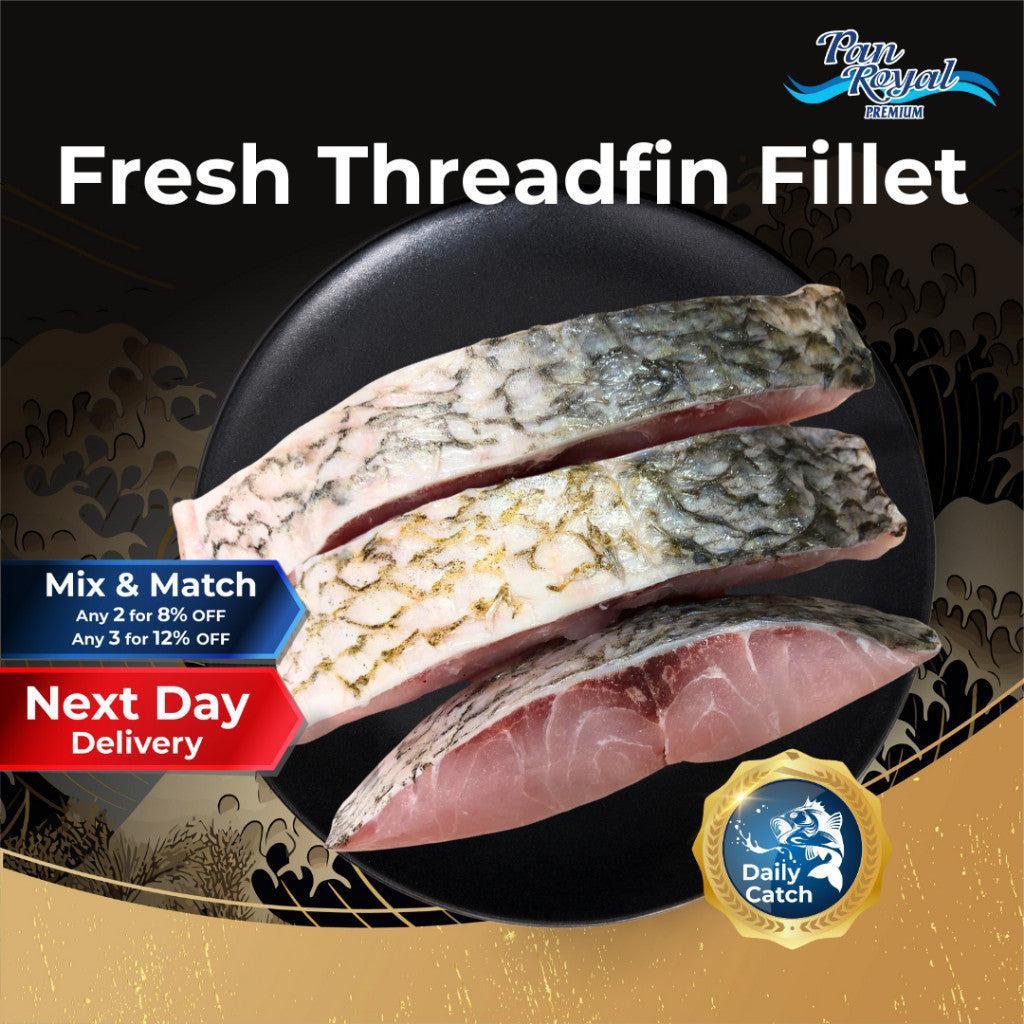 [PAN ROYAL] Fresh Frozen Threadfin Fillet (300g +/-)-Pan Ocean Singapore - Sea Through Us