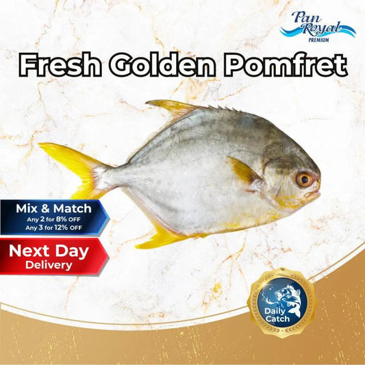 Fresh Golden Pomfret (400 - 500g +/-) – Pan Ocean Singapore