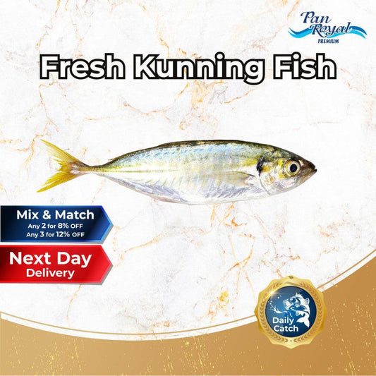 [PAN ROYAL] Fresh Kunning Fish (450g +/-)-Pan Ocean Singapore - Sea Through Us