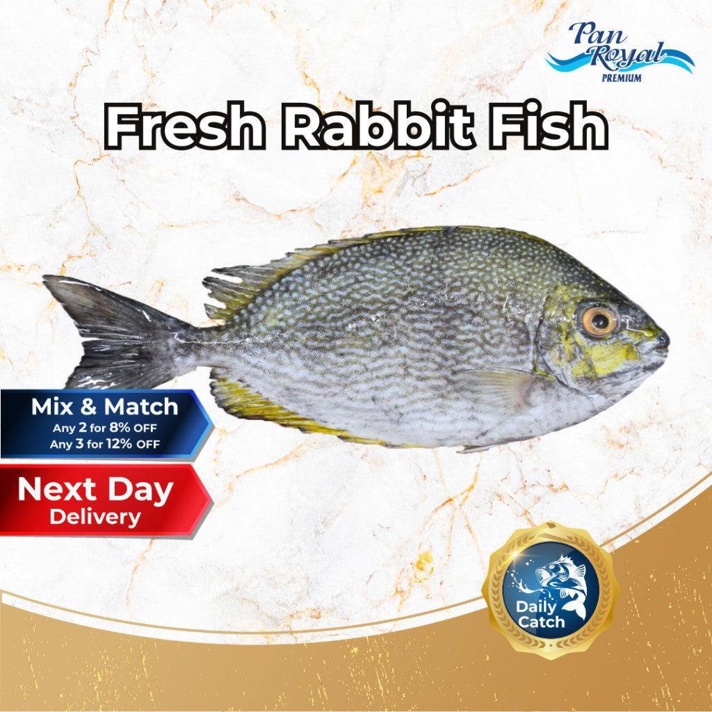 [PAN ROYAL] Fresh Rabbit Fish (Indonesia KaSu) (450g +/-)-Pan Ocean Singapore - Sea Through Us