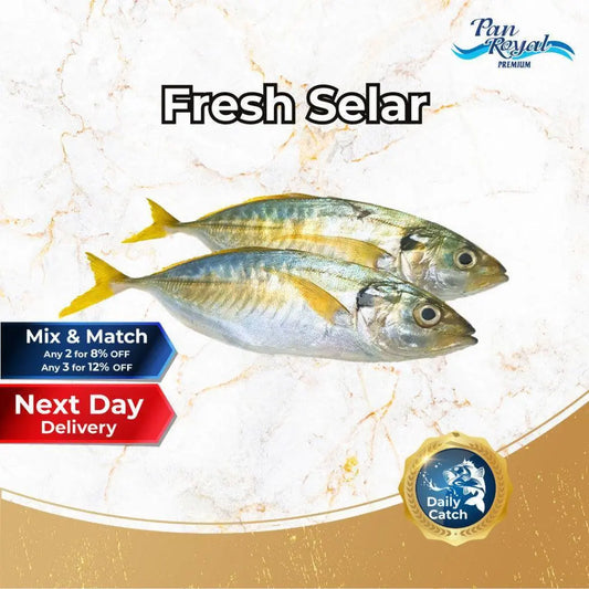 Fresh Selar (380 - 420g +/-) 2 pcs - Pan Ocean Singapore