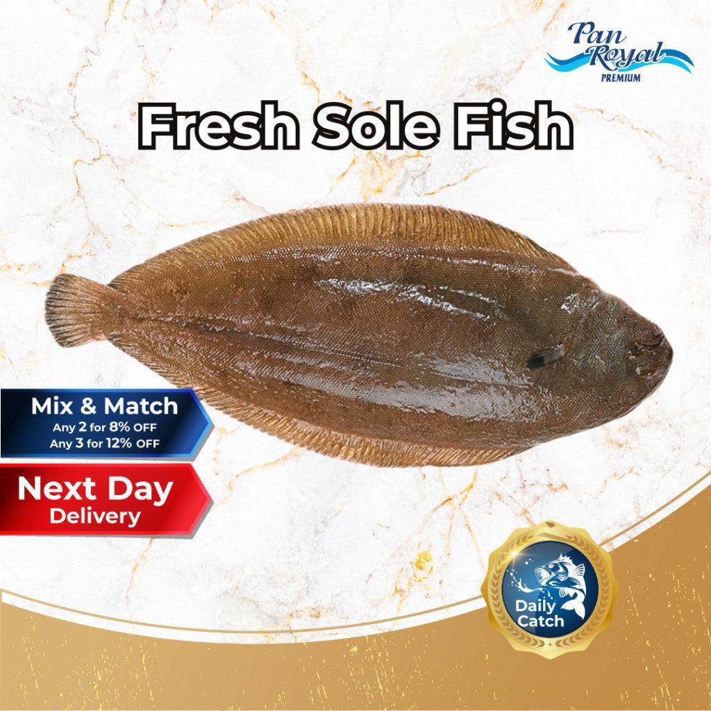 [PAN ROYAL] Fresh Sole Fish (800g +/-)-Pan Ocean Singapore - Sea Through Us