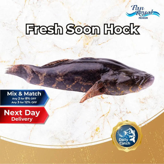 Fresh Soon Hock (500 - 600g +/-) – Pan Ocean Singapore