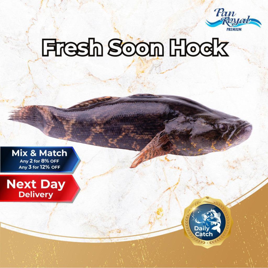 [PAN ROYAL] Fresh Soon Hock (500 - 600g +/-)-Pan Ocean Singapore - Sea Through Us