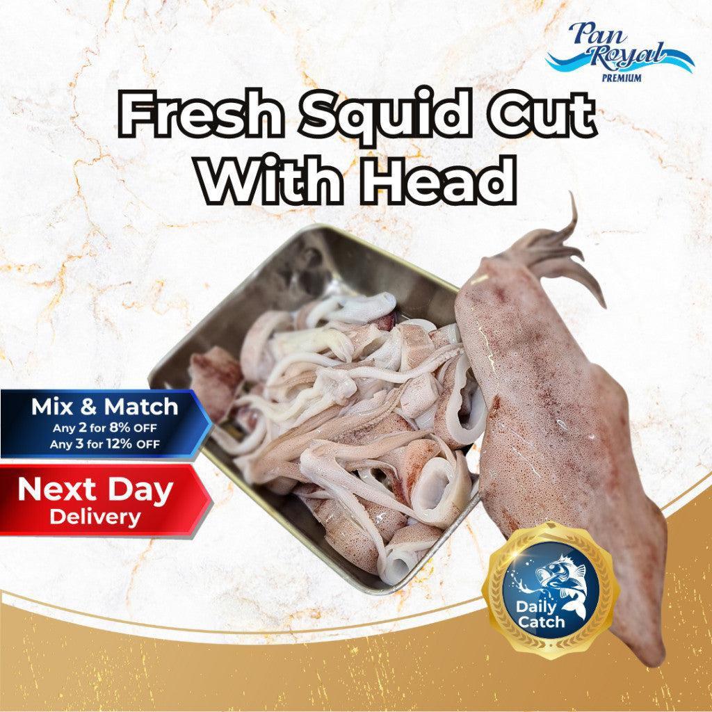 [PAN ROYAL] Fresh Squid Cut with Head (350g+/-)-Pan Ocean Singapore - Sea Through Us