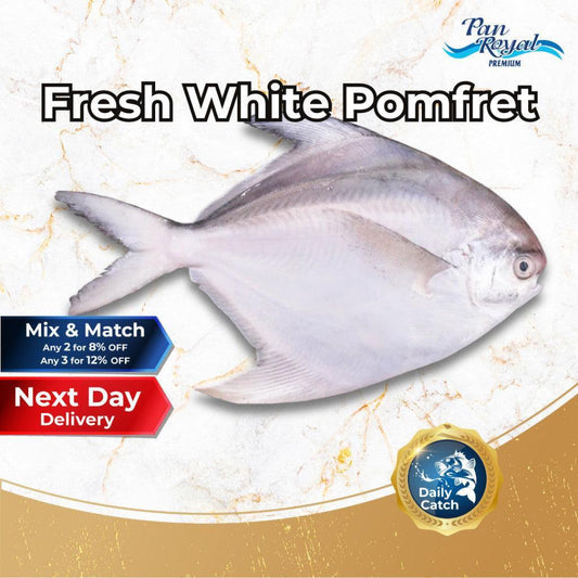 [PAN ROYAL] Fresh White Pomfret (300 - 400g +/-)-Pan Ocean Singapore - Sea Through Us