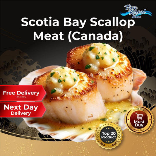 [PAN ROYAL] Frozen Canada Scotia Bay Scallop Meat (1kg +/-)-Pan Ocean Singapore - Sea Through Us