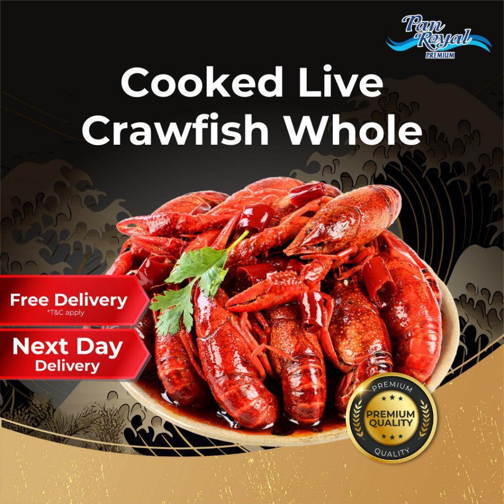 [PAN ROYAL] Frozen Cooked Live Crawfish Whole (1kg +/-)-Pan Ocean Singapore - Sea Through Us