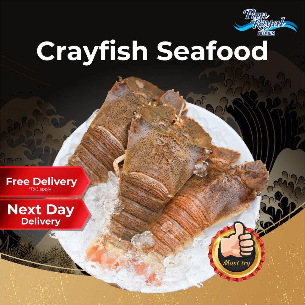 [PAN ROYAL] Frozen Crayfish Seafood Cut Half (100 - 150g +/-) 4 - 5 pcs-Pan Ocean Singapore - Sea Through Us