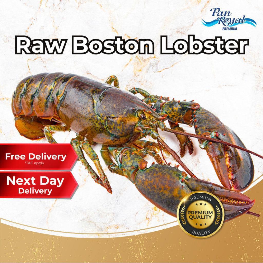 [PAN ROYAL] Frozen Raw Boston Lobster (450g +/-)-Pan Ocean Singapore - Sea Through Us