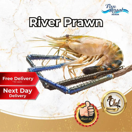 Frozen River Prawn U6 (1kg +/-) 6 pcs - Pan Ocean Singapore