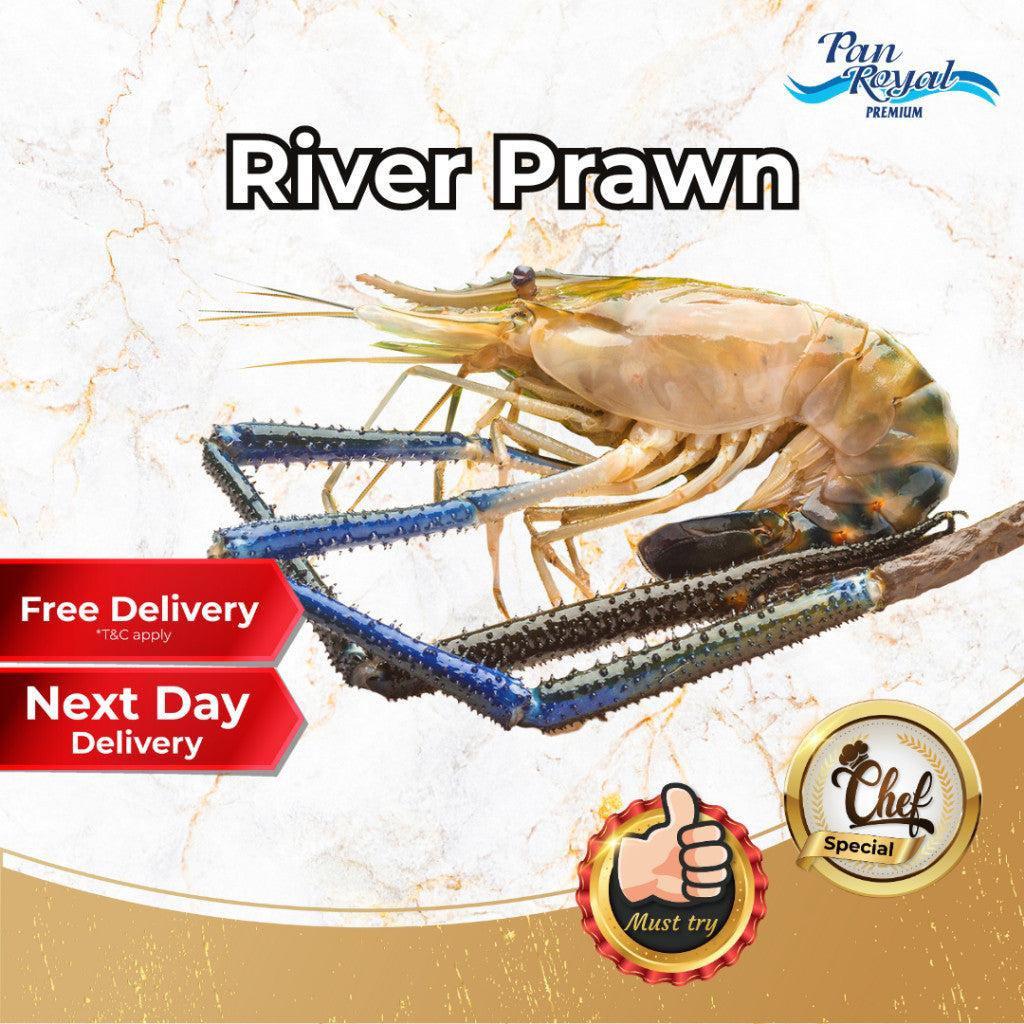 [PAN ROYAL] Frozen River Prawn (1kg +/-) 3 - 4 pcs-Pan Ocean Singapore - Sea Through Us