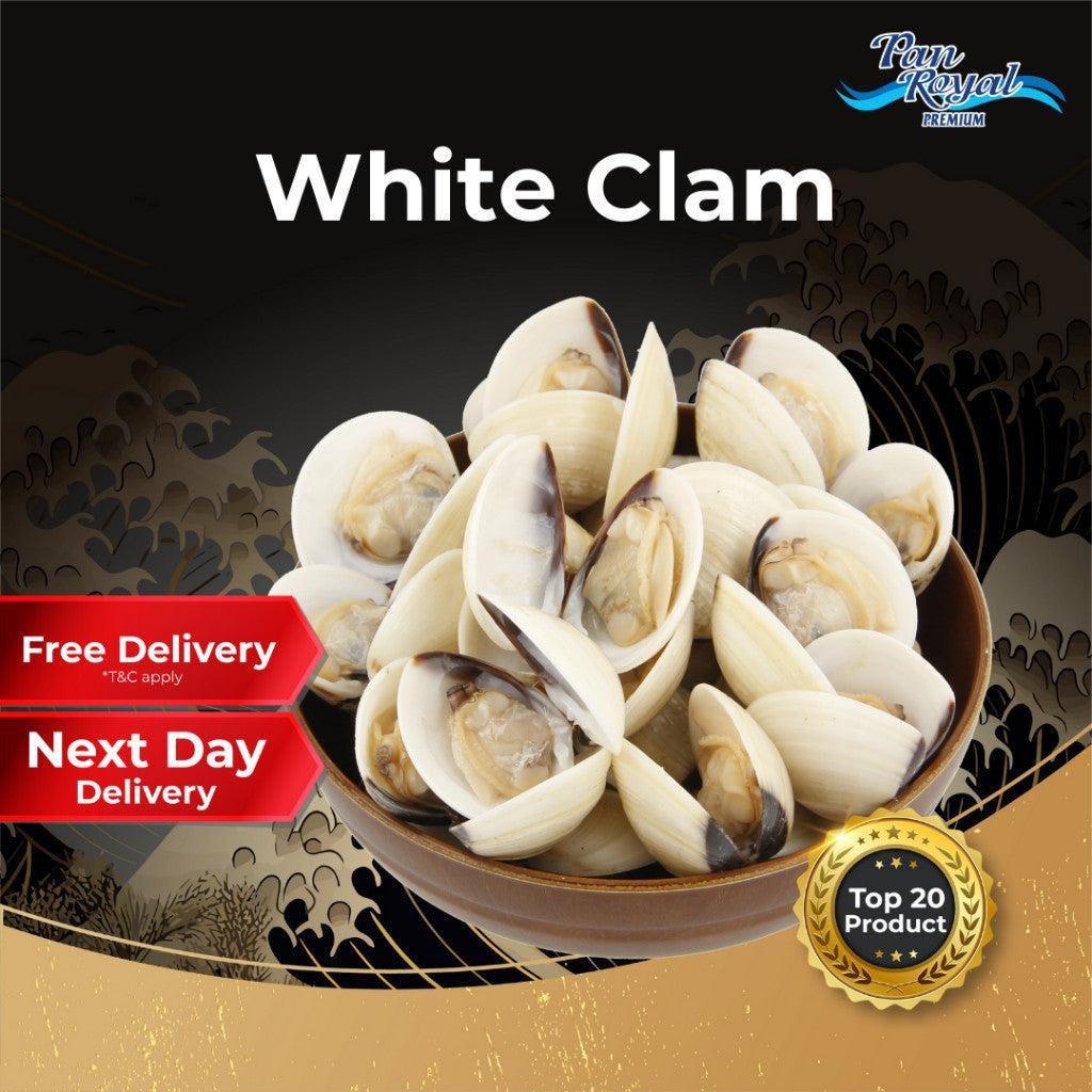 [PAN ROYAL] Frozen White Clam (1kg +/-)-Pan Ocean Singapore - Sea Through Us