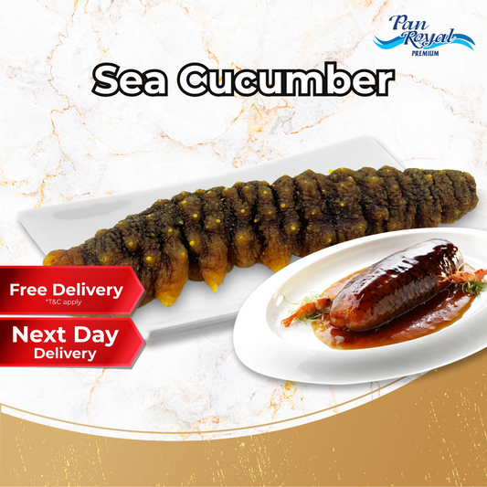 [PAN ROYAL] Frozen Sea Cucumber 600g+