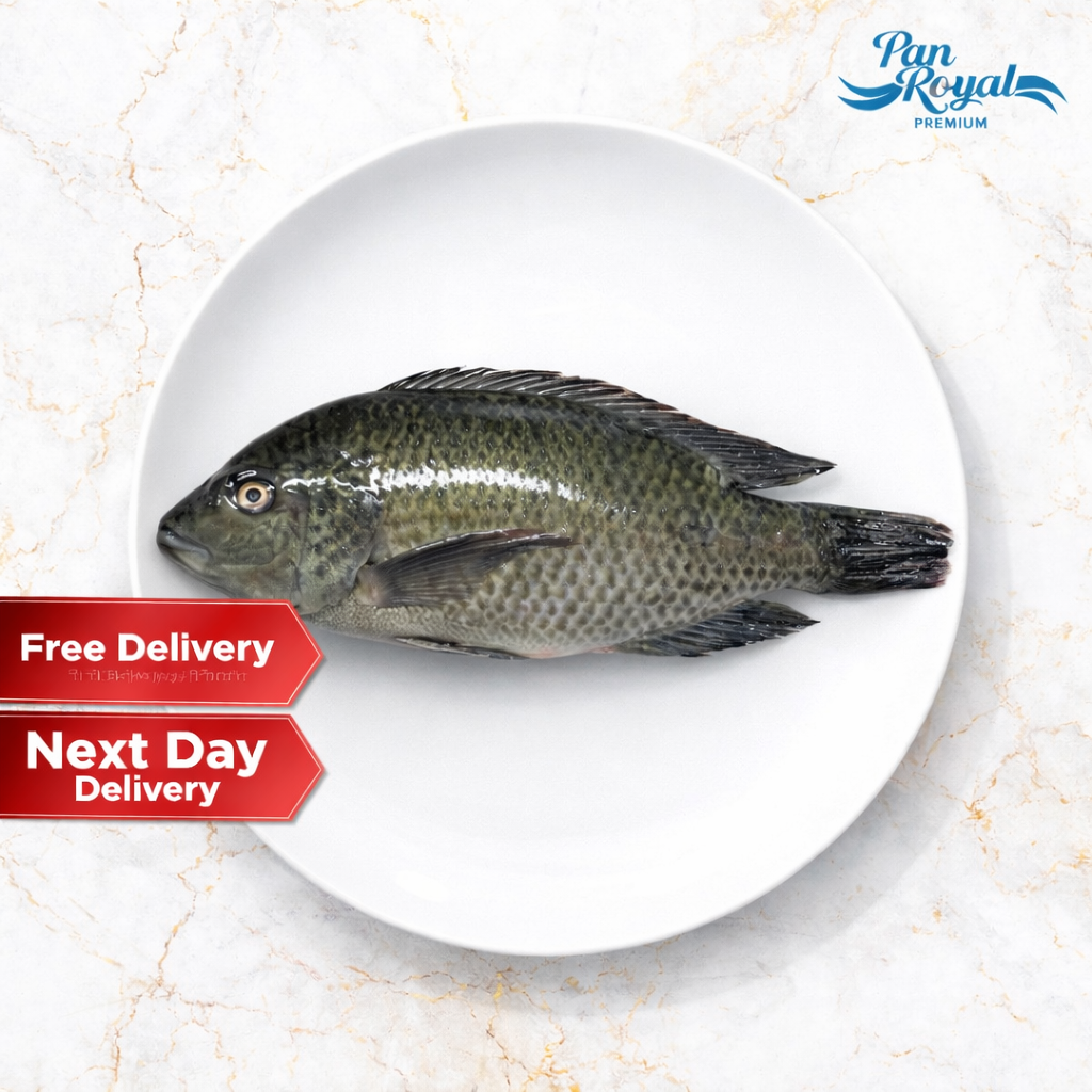 [PAN ROYAL] Fresh Frozen Kelong Black Tilapia 400 - 600g +/-
